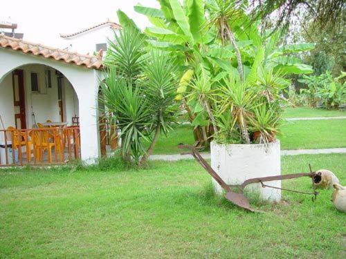 Banana Place Aparthotel Zacharo Exterior foto