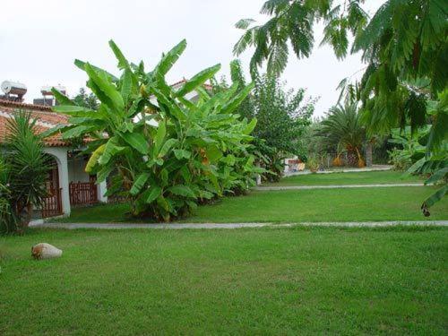 Banana Place Aparthotel Zacharo Exterior foto
